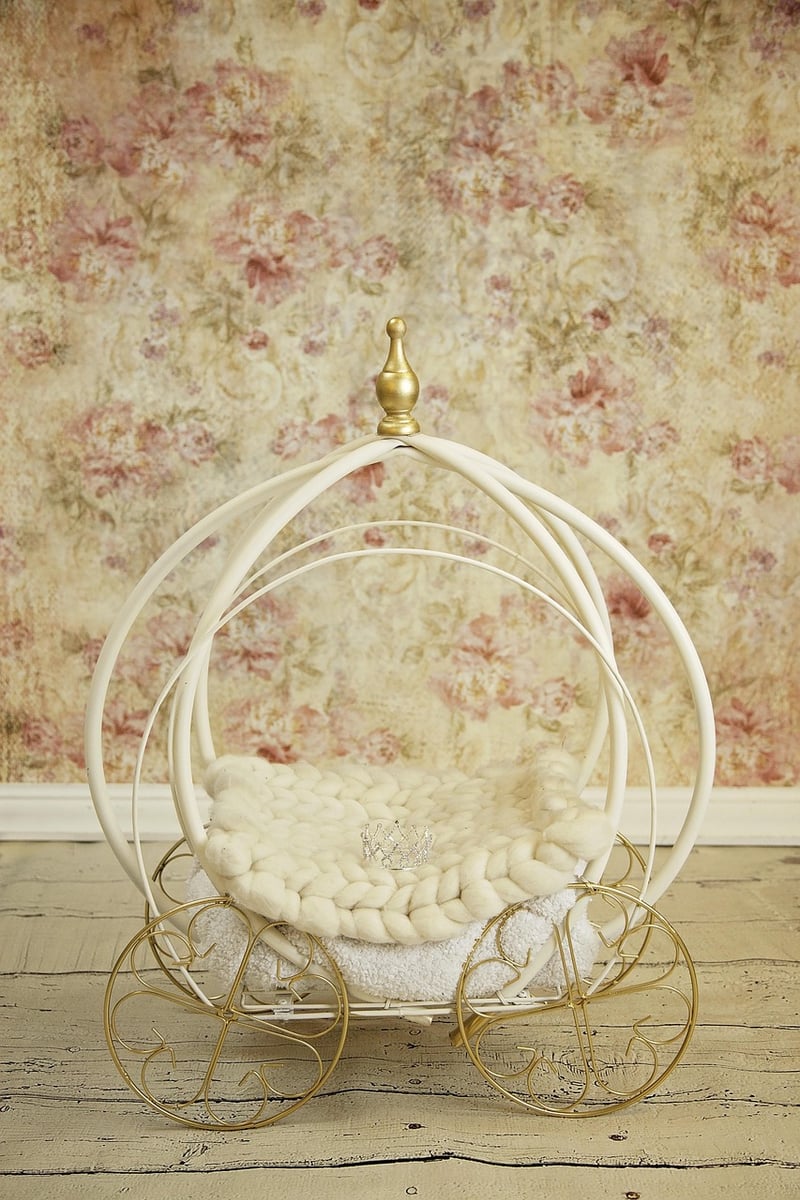 Cinderella Carriage